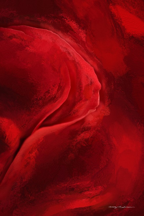 Red Rose