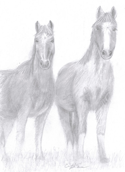 Horses