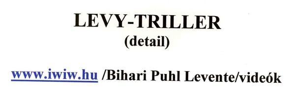 levy-thriller