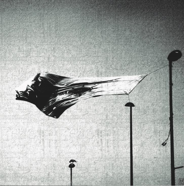 promises in the wind