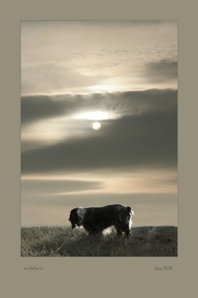 In the Backlight