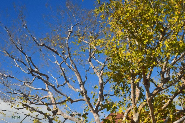 breath of Fall