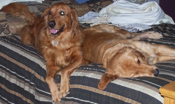 Sammy&Princess