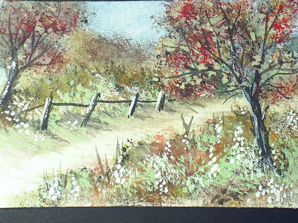 country lane