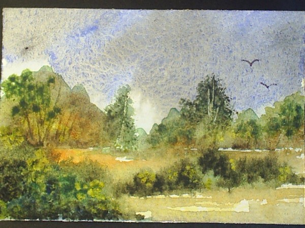 country landscape