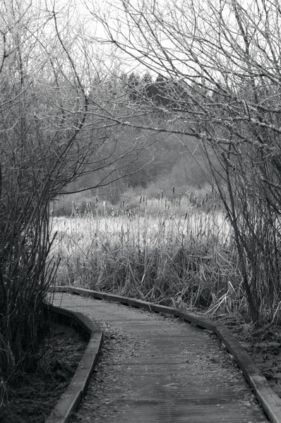 b&w the path to ?????