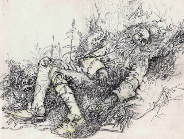 sleeping with fairies