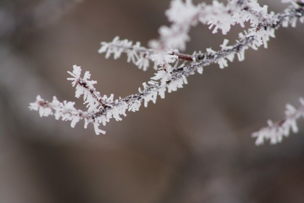 ice crystal 2