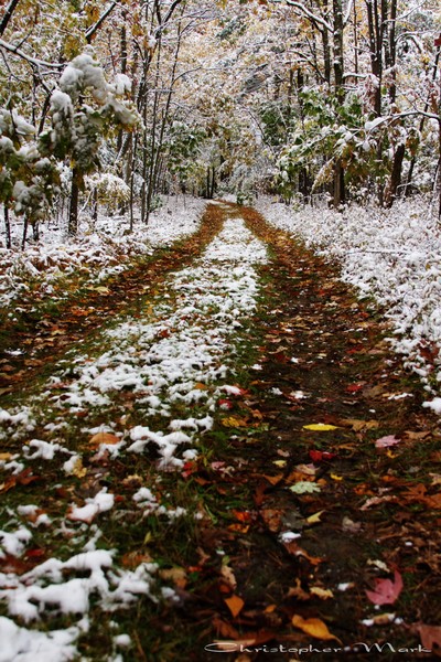 Down the road