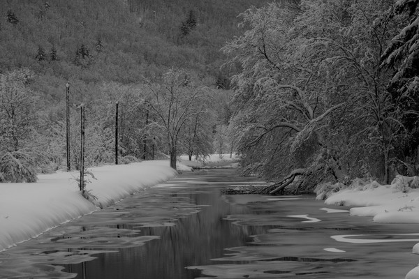 Winter storm 2-2010