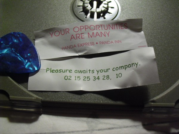 Pleasure Awaits Your Company