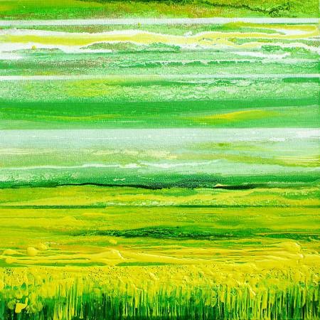 Oil Seed Rape Tynedale 2007 seriesno1