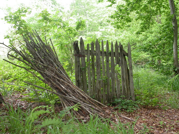 The Garden Gate