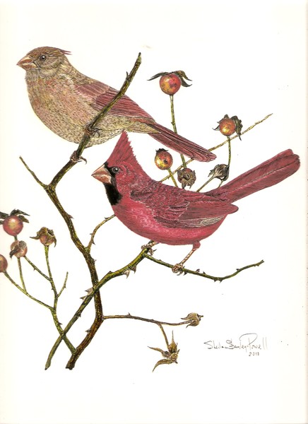 cardinal mates