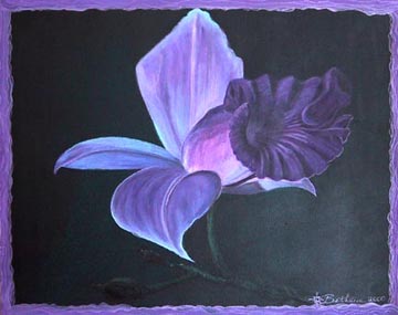 Orquidea Morada