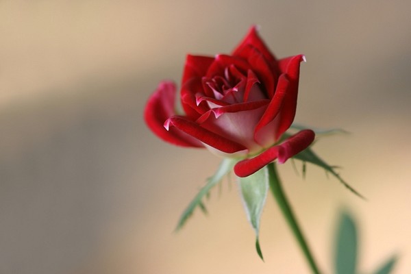 Be Happy...