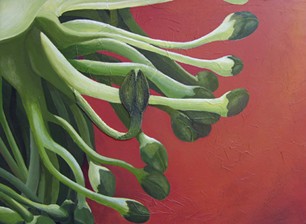 broccenis