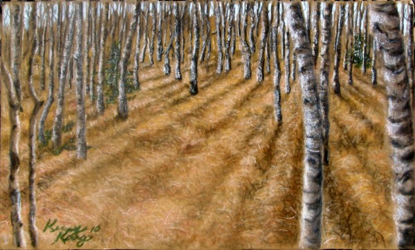 aspen shadows