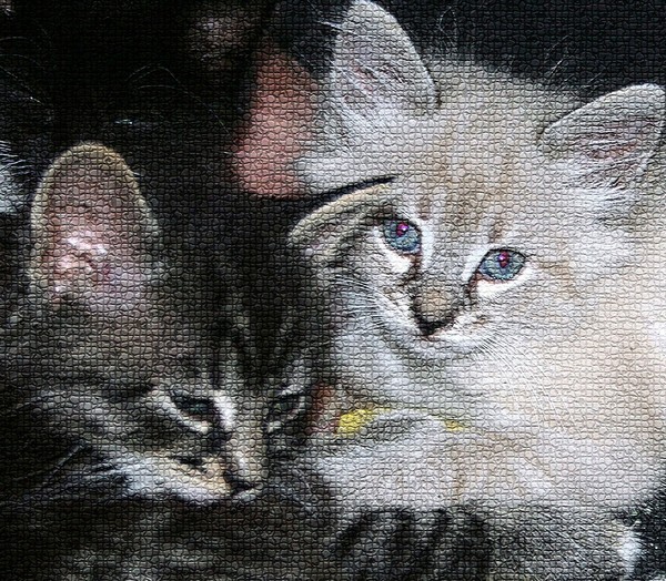 Friends for Life