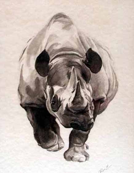 Rhino