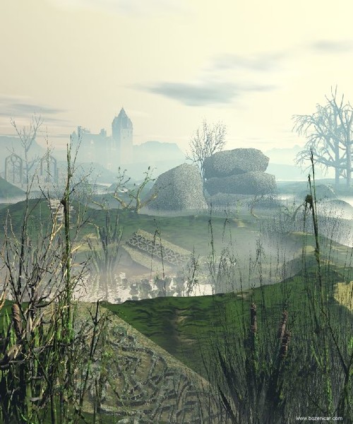 Fog in the marshes