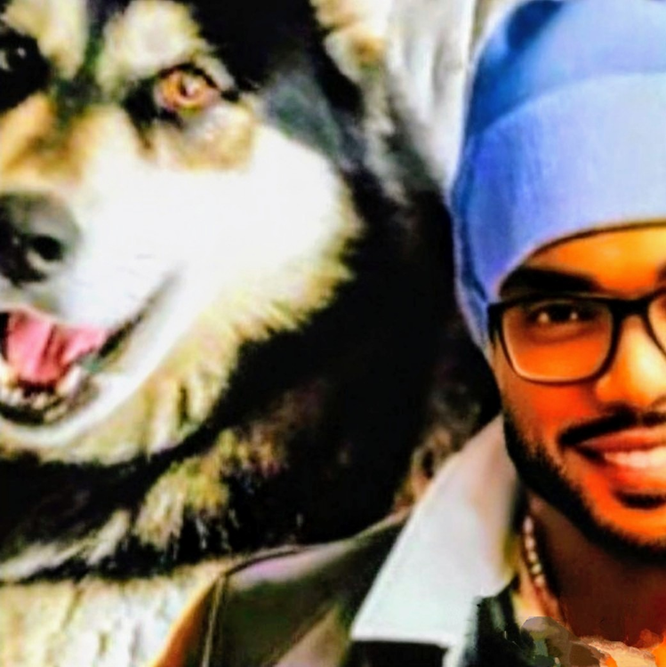 Joey and Polo my Wolfdog ??