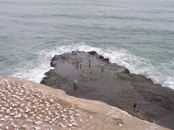 crazy fishermen