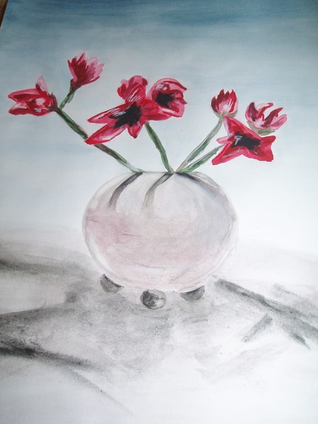 amaryllis
