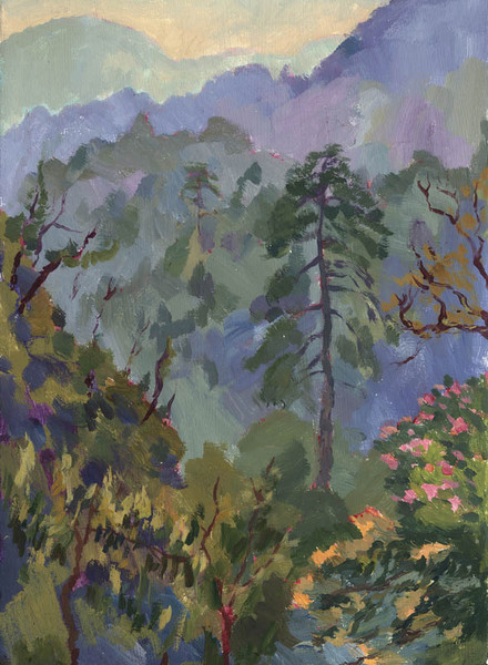 Himalaya forest