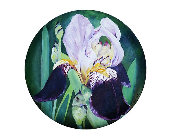 Purple Iris