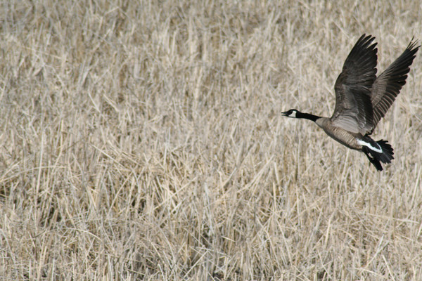 take off