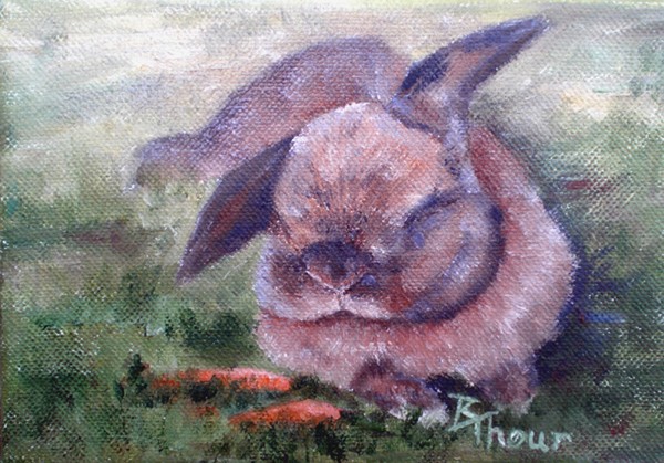 Bunny Dreams