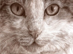 Eye Spy