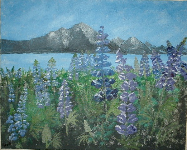 Lupine Explosion