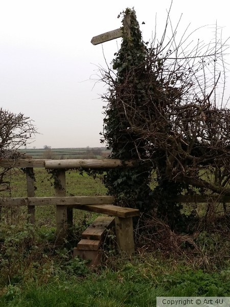 Is this a signpost or 'Big bird'