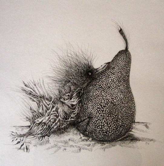 Poire Belle Hélène