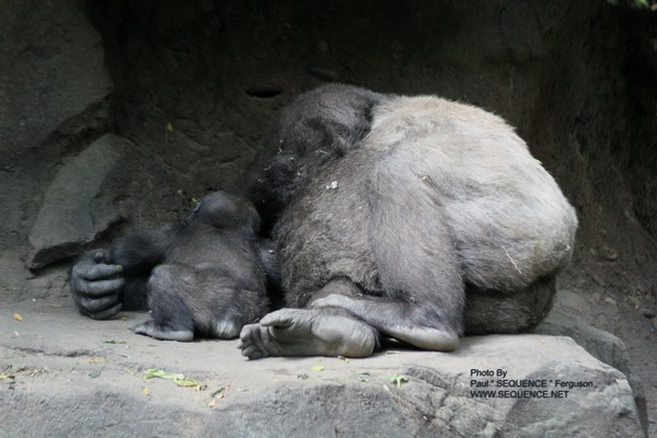 SLEEPY TIME 