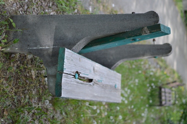 DSC 0115