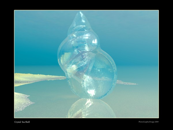 Crystal Sea Shell Underwater