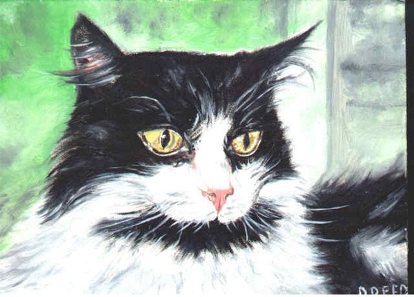 Her Cat