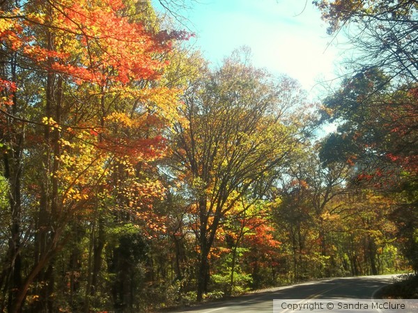 Autumn in Arkansas