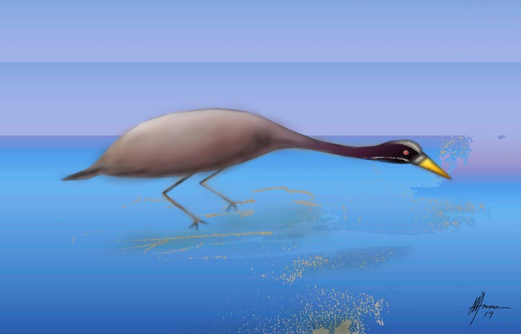 LITTLE BIRD FISHING