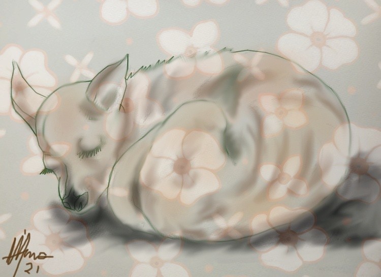 PENELOPE SLIPING-2