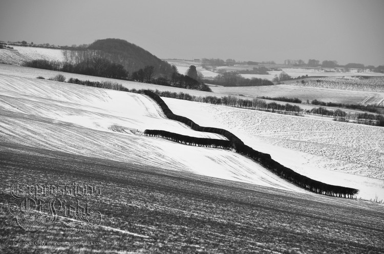 ExpoLight-The-Lincolnshire-Wolds-Winter-18-03-2018-0022 (SP)