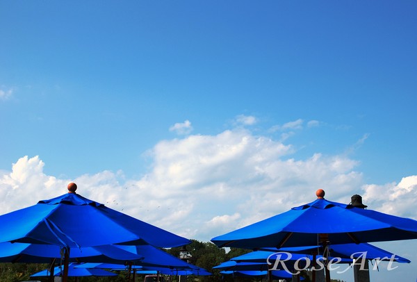 Blue Umbrellas
