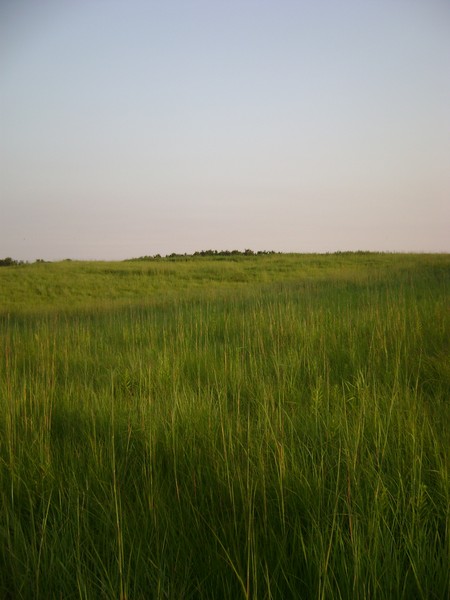 The Grass is Greener on the Other Side