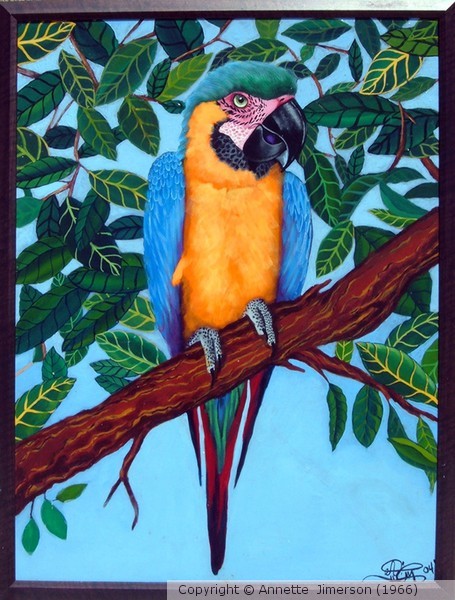 Parrot