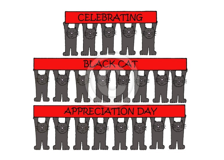 Black Cat Appreciation Day
