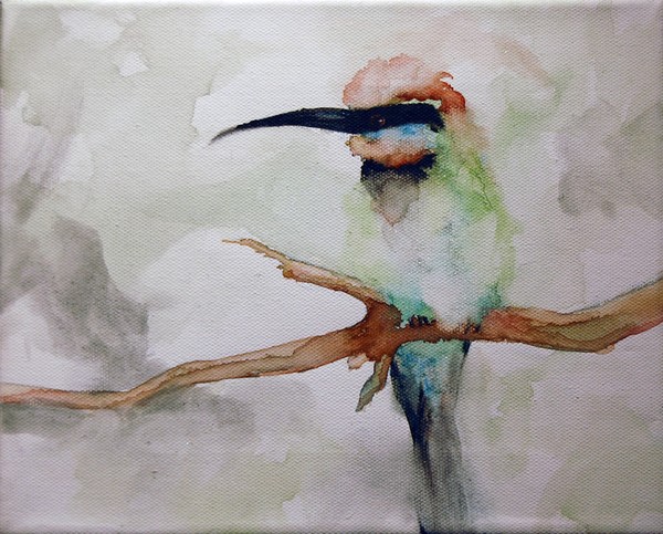 bee eater no 6