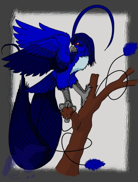 The Sapphire Phoenix